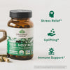 Organic India Tulsi Holy Basil Capsules - Holy Basil Extract - Holy Basil Leaf Supplement, Herbal Supplement, Immune Support, Stress Relief, Vegan, Gluten-Free, Kosher, Organic, Non-GMO - 180 Capsules