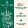 Organic India Tulsi Holy Basil Capsules - Holy Basil Extract - Holy Basil Leaf Supplement, Herbal Supplement, Immune Support, Stress Relief, Vegan, Gluten-Free, Kosher, Organic, Non-GMO - 180 Capsules