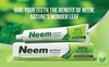 Neem Active Toothpaste 200gm, 98% Natural Origin | 100% Vegetarian | Enriched with the power of Neem and Calcium | Antibacterial protection for strong teeth and healthy gums |Mint for freshness